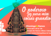 Arquidiocese de Campinas celebra JDJ 2017