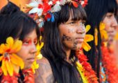 Sínodo Pan-Amazônico: os clamores das Juventudes Amazônicas
