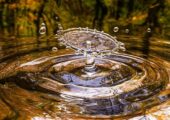 Dia Mundial da Água: 8 ensinamentos da Laudato Si